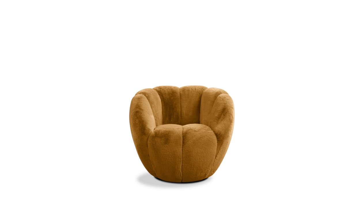 fauteuil image number 0