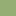 Sapin green