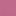 Fuchsia pink