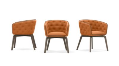 BRIDGE n&uacute;mero de imagen 1