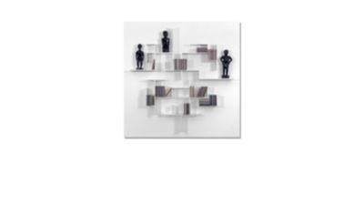 bookcase frame dedale product image