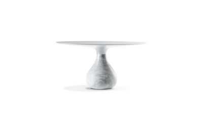 Aqua Dining Table Roche Bobois