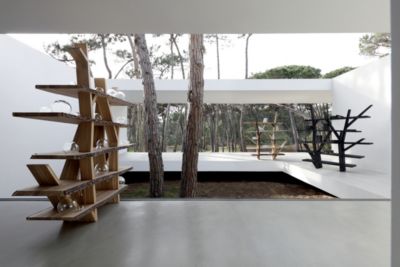 biblioteca - natural legend imagen ambiental