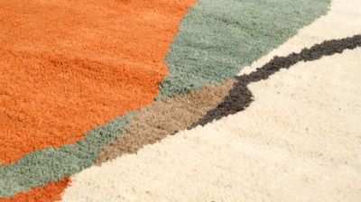 rug image number 3