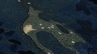 tapis image num&eacute;ro 0