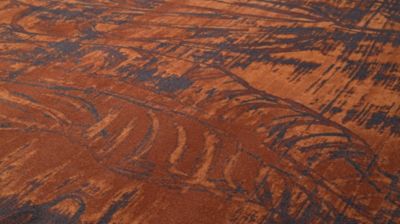 tappeto numero dell'immagine 2