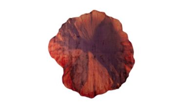 Alfombra coquelicot imagen del producto