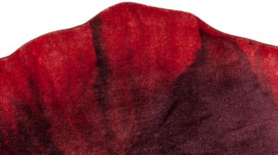 Teppich bildnummer 4