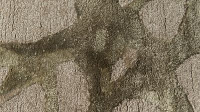 rug cassiope image number 1