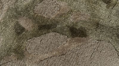 tappeto numero dell'immagine 1