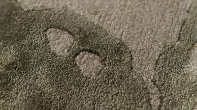 tappeto numero dell'immagine 3