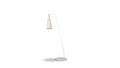 white floor lamp with battery