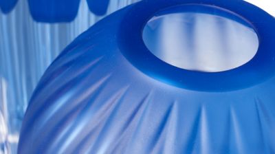 vase seeds image num&eacute;ro 2