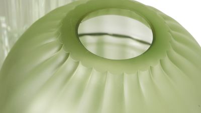 VASO Seeds  numero dell'immagine 2