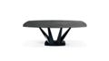Barrel-shaped/oval dining table thumb image number 01