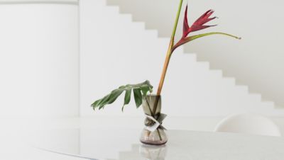 vase  azimut mood image