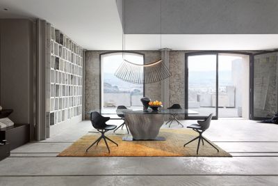 DINING ARMCHAIR Lacquered shell chistera mood image