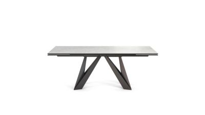 Dining table cigale image number 1