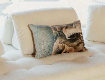 SCHIENALE INDIPENDENTE numero dell'immagine 6