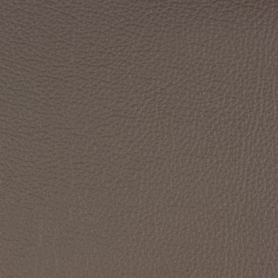 Cuir Punch : Delphine