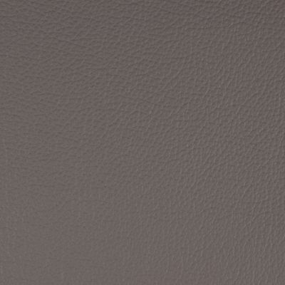 Cuir Punch : Steingrau