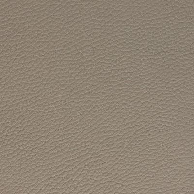 Cuir Minerva : Tortora