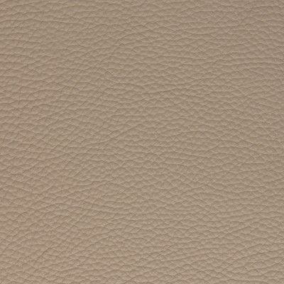 Cuir Minerva : Fango