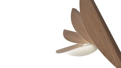 Double suspension image number 1