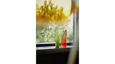 Object image number 3