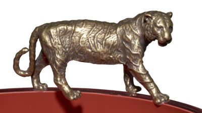 coupe - tigre image num&eacute;ro 1