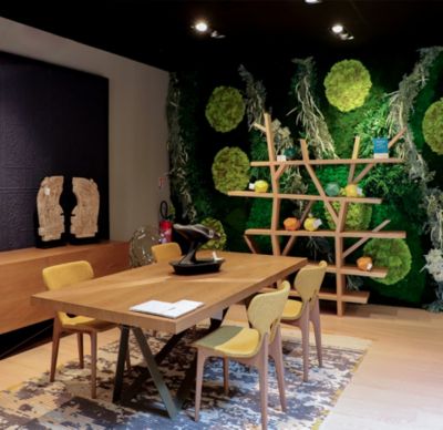 image num&eacute;ro 2.0