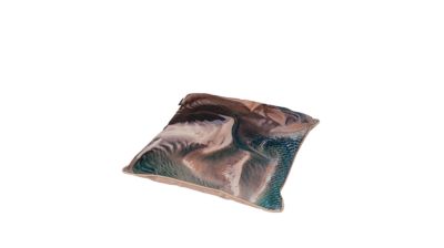 cushion image number 1