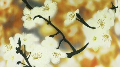 cuscino madame dor&eacute; numero dell'immagine 0