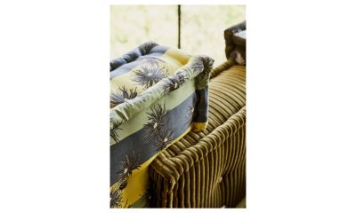 zoom in  - illustration 3.0