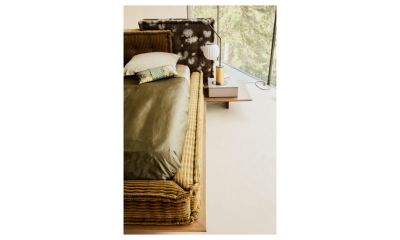 zoom in  - illustration 5.0