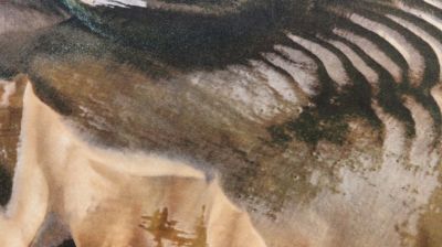 cushion image number 0