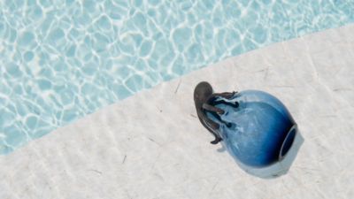 sculpture image number 1