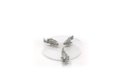 Bowl no limit image number 1