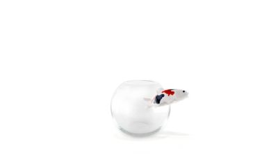 Vase no limit product image