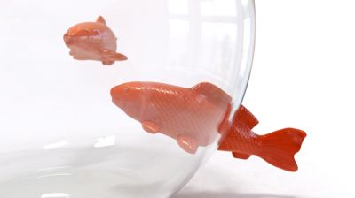 Vase no limit image number 3