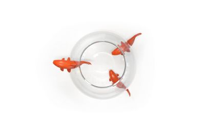 Vase no limit image number 2