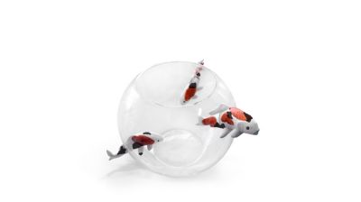 Koi vase no limit product image