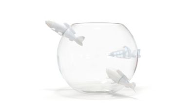 VASO  no limit immagine del prodotto