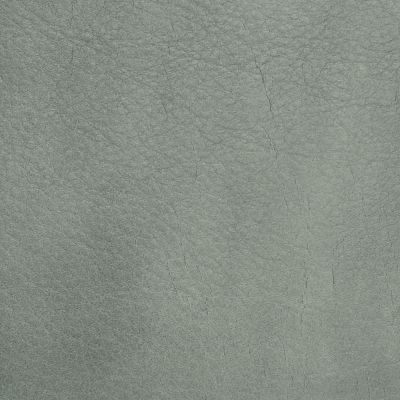 Cuir Organic Thick (OH) : Stone grey