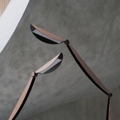 Structure image number 3