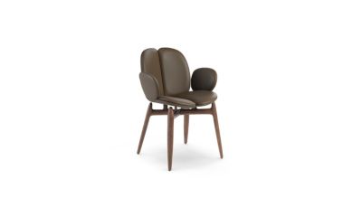 dining armchair - stained ash wood pulp product image