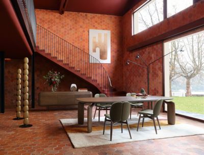 chaise - fr&ecirc;ne teint&eacute; image num&eacute;ro 1