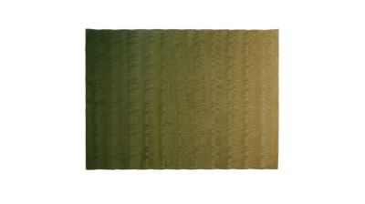 Rectangular rug pulse product image