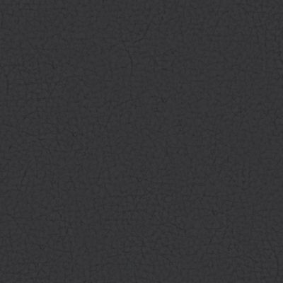 Cuir Pampas : Schwarz