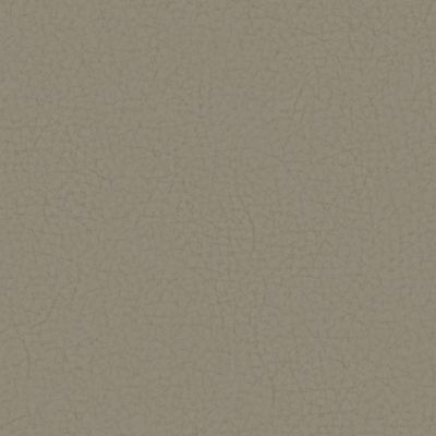 Cuir Pampas : Hellgrau